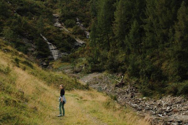 Wandern in der Natur